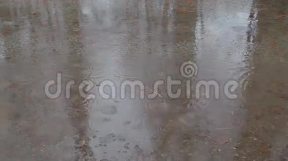 雨水溅在水坑里视频的预览图