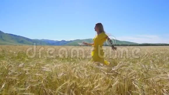 一个穿着黄色连衣裙的年轻女孩长发在麦田上奔跑慢动作视频的预览图