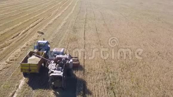 联合收割机农业机械收割金熟麦田的鸟瞰图视频的预览图