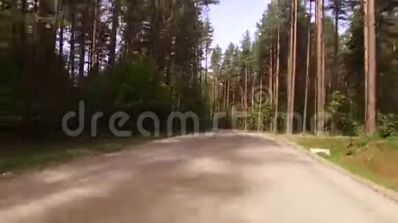 开着一辆车在荒芜的森林道路上视频的预览图