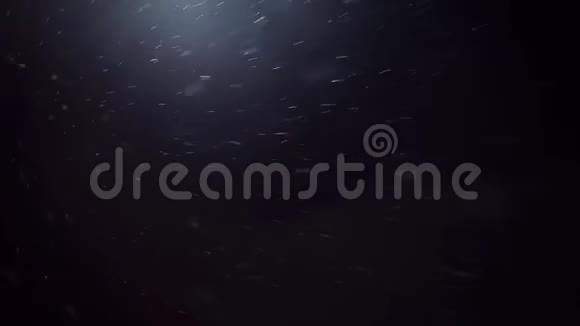夜间降雪黑色背景下的雪花镜头中的雪花飞舞视频的预览图