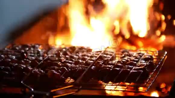 冬季烧烤夜间户外烤肉视频的预览图