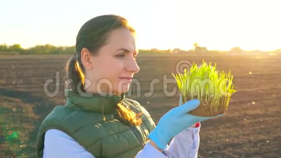 女农民在把树苗种在土壤里之前先检查一下样本视频的预览图