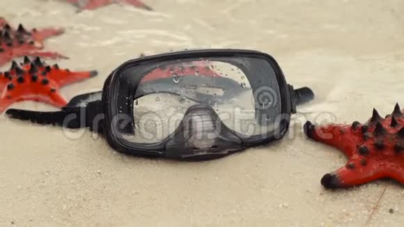 在海滩上慢镜头拍摄红海星和潜水面具视频的预览图