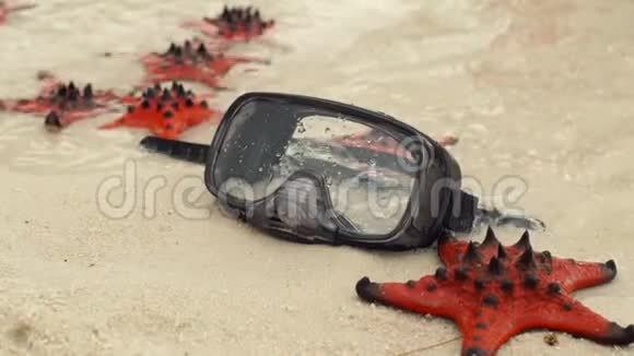 在海滩上慢镜头拍摄红海星和潜水面具视频的预览图
