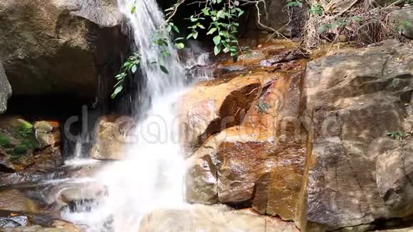 森林中的瀑布和长满苔藓的岩石视频的预览图