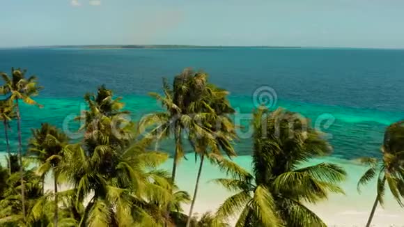 热带岛屿有椰子树俯视视频的预览图