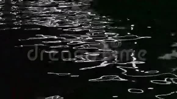 月光在水中反射视频的预览图