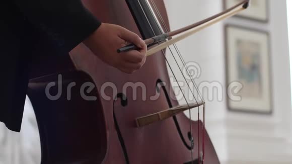 带弓的大提琴弦乐器的宏观细节视频的预览图