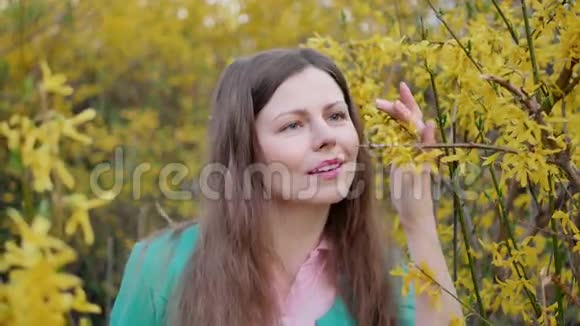 美丽的姑娘在黄色的花朵中春天的树抚摸着嗅着花的慢视频的预览图