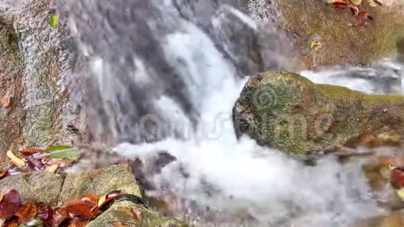 森林中的瀑布和长满苔藓的岩石视频的预览图
