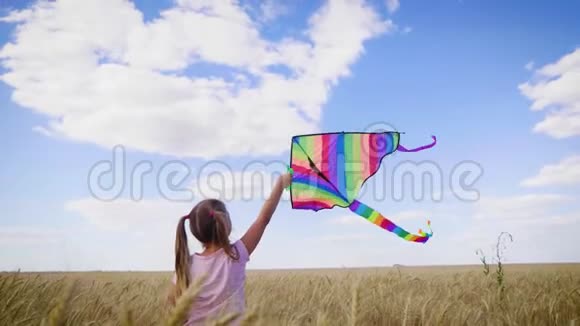 夏天在麦田里玩风筝的漂亮女孩童年生活方式的概念视频的预览图