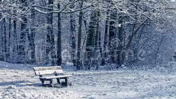 冬季在森林里的长凳上无缝循环下雪高清视频视频的预览图