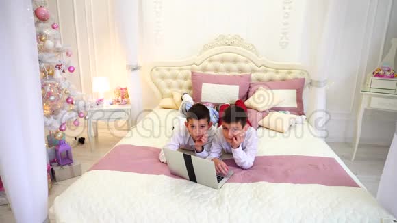 男孩双胞胎在笔记本电脑上摆姿势和玩耍白天躺在明亮的房间里圣诞树视频的预览图