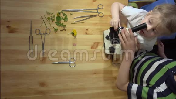 孩子们在木制桌子上的显微镜下研究植物从上面拍摄视频的预览图