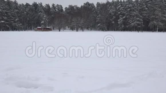 冬季森林里滑雪的滑雪者在冬季天气里骑着白雪覆盖的公园4K视频的预览图