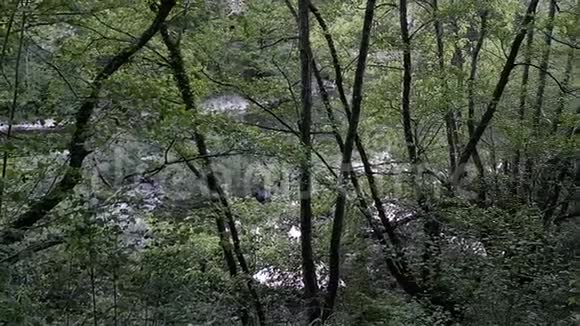 放松自然的风景视频视频的预览图