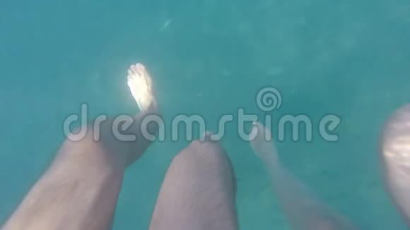 暑假期间男女两只脚一起在水下游泳年轻夫妇的腿在水下关闭视频的预览图