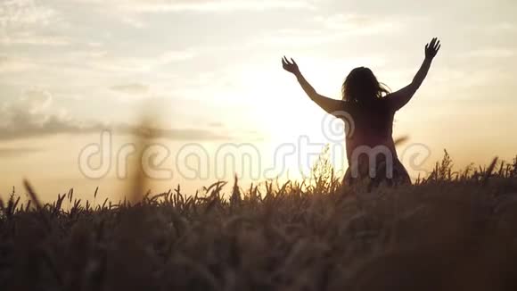女孩站在麦田里举手迎接太阳和日落高清1920x1080慢动作视频的预览图
