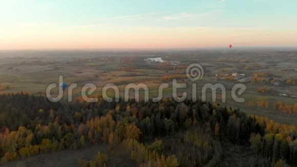 空中景观与彩色热气球飞越森林视频的预览图