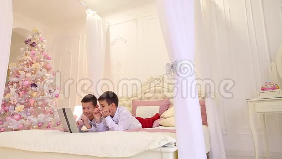 两个人双胞胎兄弟玩手提电脑彼此交流躺在明亮的房间里躺在圣诞树上视频的预览图