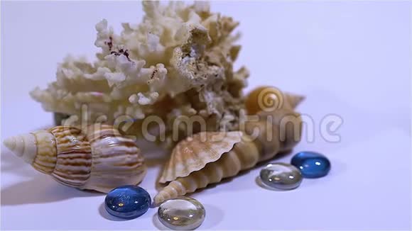 珊瑚彩色玻璃和贝壳装饰的美丽构图视频的预览图
