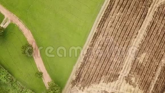 绿色稻田钻曲线的鸟瞰图视频的预览图