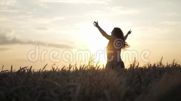 女孩站在麦田里在夕阳的照耀下享受着逝去的日子高清1920x1080慢动作视频的预览图