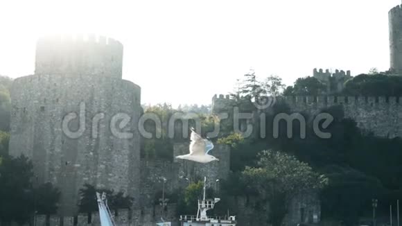 在博斯普鲁斯岛上著名的伊斯坦布尔要塞附近缓慢飞行的海鸥视频的预览图