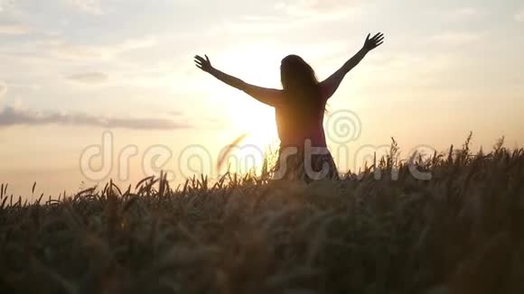 女孩惊讶地看到田野里的夕阳带着小麦举起手来高清1920x1080慢动作视频的预览图