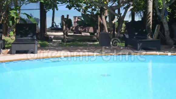游泳池装饰与frangipani李子热带花卉与海景背景慢动作视频的预览图