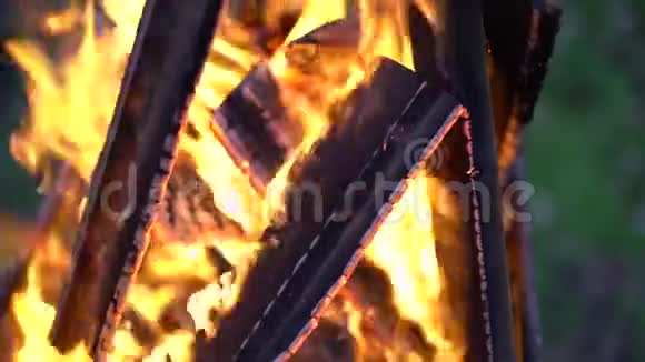 高灯篝火火火近了视频的预览图