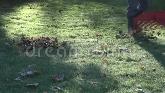 男工扫帚秋叶在霜冻的早晨在花园里4K视频的预览图