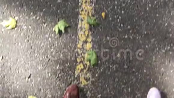 秋天两条腿在柏油路上走视频的预览图