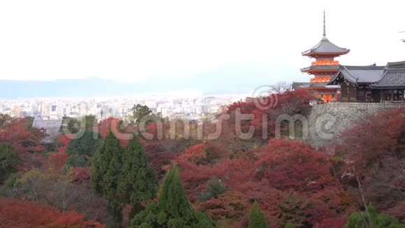 美丽的奥托瓦塔山基约米祖德拉与京都空中城市景观秋天的颜色视频的预览图