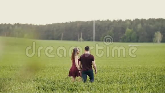 恋爱中的男人和女人一对夫妇在燕麦地散步接吻拥抱穿红色衣服的女人感动男人的脸慢节奏视频的预览图