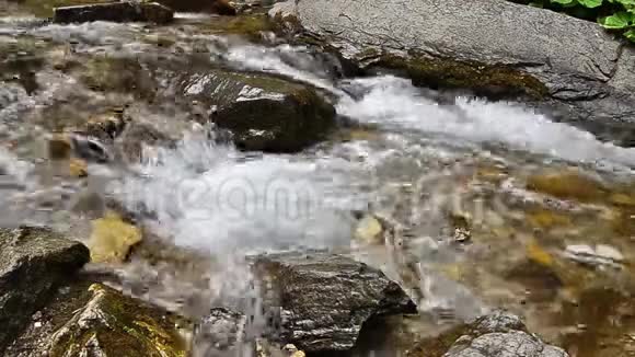 河水以鹅卵石在近景中流淌视频的预览图