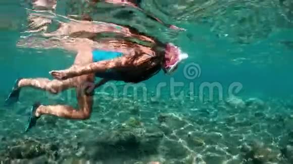 水下女孩在珊瑚礁的一个清澈的热带水中浮潜年轻女子在明亮的珊瑚礁上游泳视频的预览图