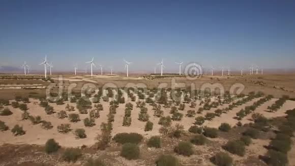 多利放大风车农场和树木视频的预览图