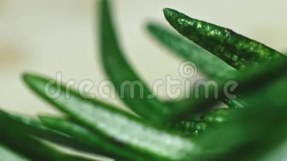 在宏视频中拍摄新鲜迷迭香一枝用于4K烹饪视频的预览图