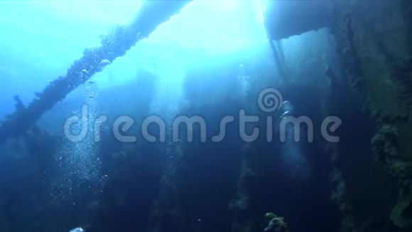 潜水员在红海的翁布里亚沉船里视频的预览图