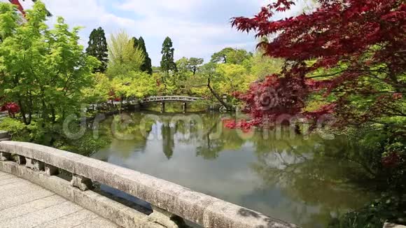 禅寺石桥视频的预览图