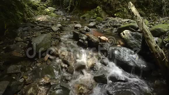 拉文流淌的细溪视频的预览图