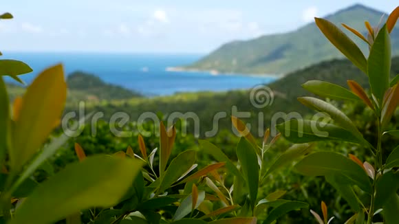热带雨林景观与火山山以上郁郁葱葱的绿色丛林的异国海岛视频的预览图