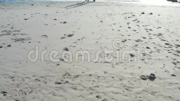 男人和女人在日落时沿着热带海滩漫步追踪年轻夫妇在度假中享受乐趣的空中镜头视频的预览图