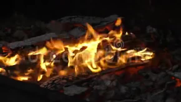 火焰和红色余烬视频的预览图
