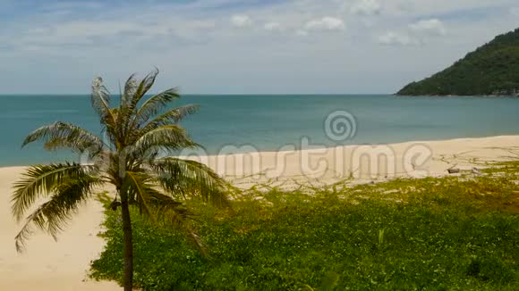 热带天堂异国情调的白沙滩被蓝色平静的大海冲刷阴云密布的沙滩上绿油油的椰棕视频的预览图