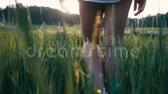 年轻漂亮的女人穿着运动鞋和短裤在草地上散步带着绿草自然的慢动作视频女孩视频的预览图