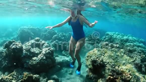 水下女孩在珊瑚礁的一个清澈的热带水中浮潜年轻女子在明亮的珊瑚礁上游泳视频的预览图