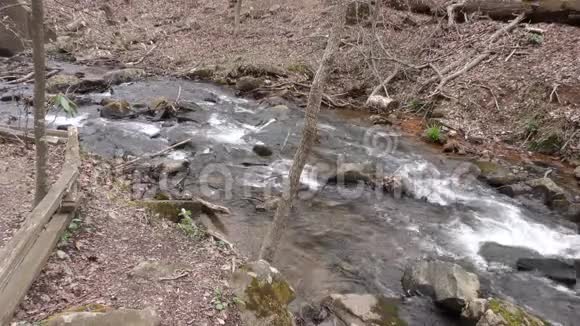 佐治亚州阿默科拉瀑布下阿默科拉溪流过岩石视频的预览图